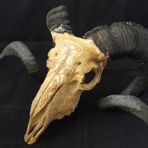 Carved and Decorated Skulls, Arty Creations
