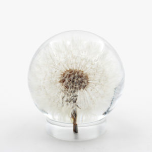 Resin Dandelion