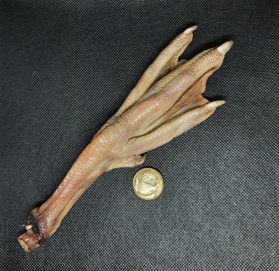 Goose Foot The Fox's Trousers