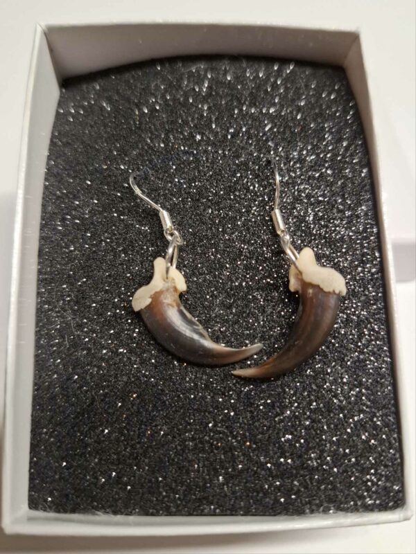 Earrings - Coyote Claw