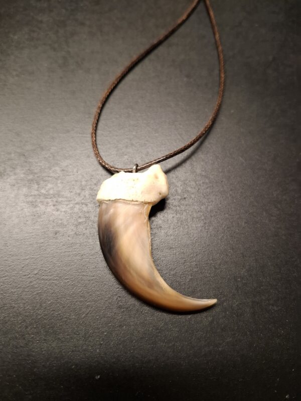 Bear Claw Pendant