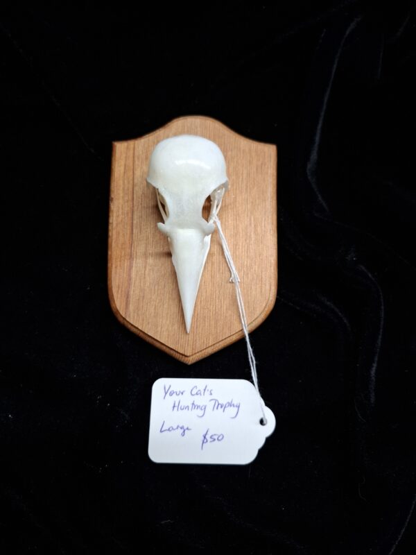 Your Cat's Hunting Trophy - Image 3