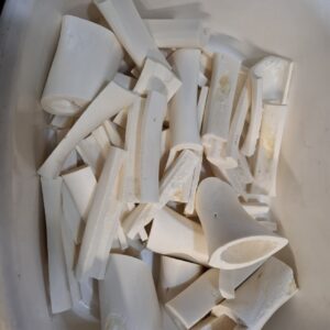 Bone Blanks for Carving (100 grams) - the funny shaped ones