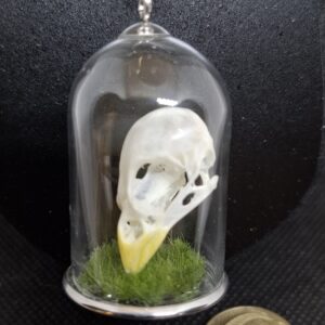 Necklace - Glass Dome